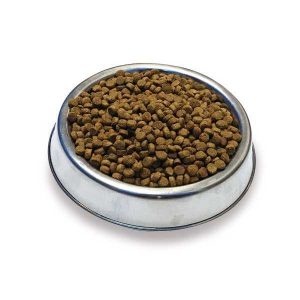 Popüler Petshop Fit 32 Açık Kedi Maması 500 Gr satın alabilirsiniz.