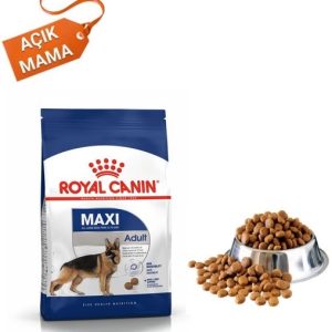 Popüler Petshop Açık Royal Canin Maxi Adult Büyük Irk Köpek Maması satın alabilirsiniz.