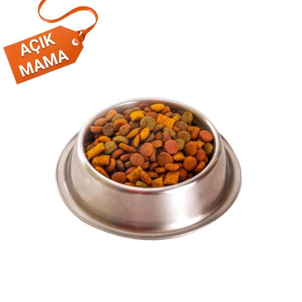 Popüler Petshop Açık Hipoalerjenik Az Tahıllı Somonlu Yetişkin Kedi Maması 500 gram satın alabilirsiniz.