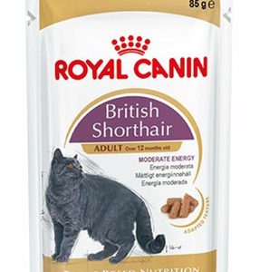 Popüler Petshop Britisih Shorthair Kedi Konservesi 85 gr satın alabilirsiniz.